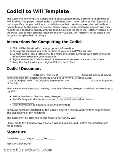 Official Codicil to Will Document