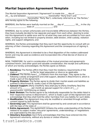 Official Marital Separation Agreement Document