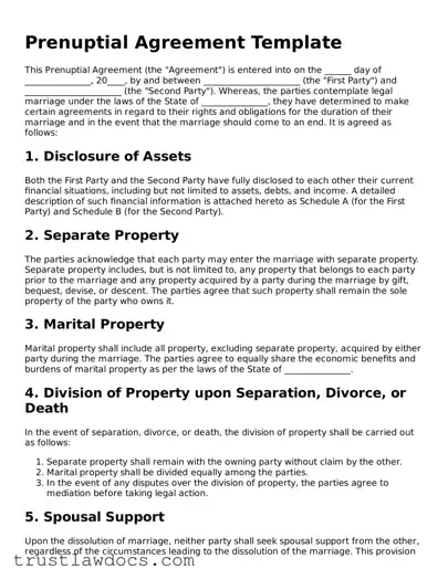 Official Prenuptial Agreement Document